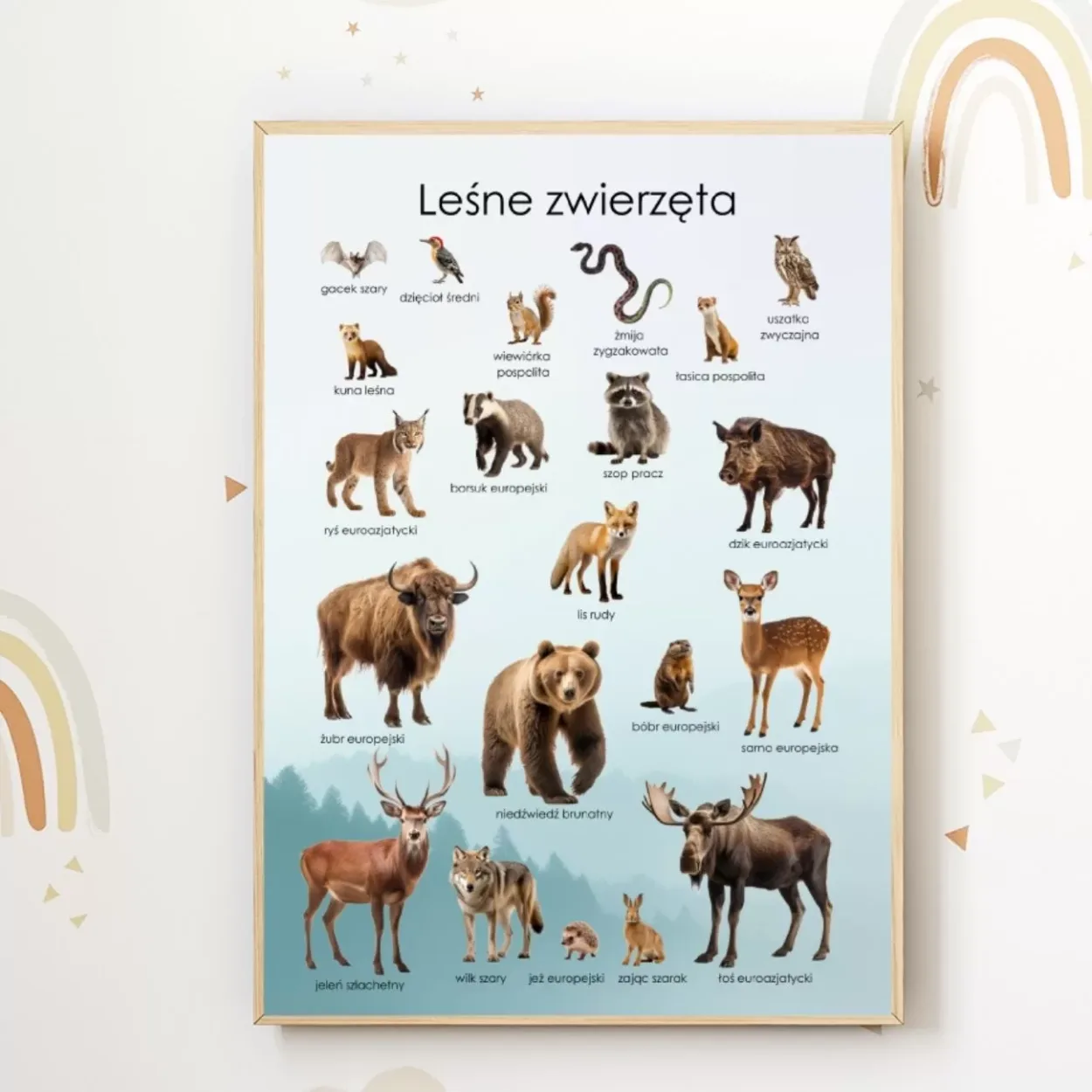 plakat leśne zwierzęta