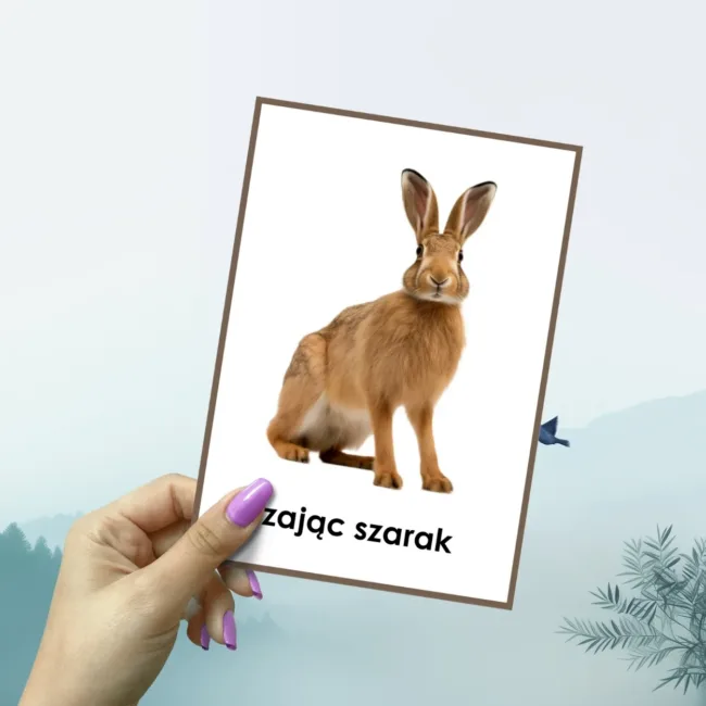 plansze edukacyjne leśne zwierzęta
