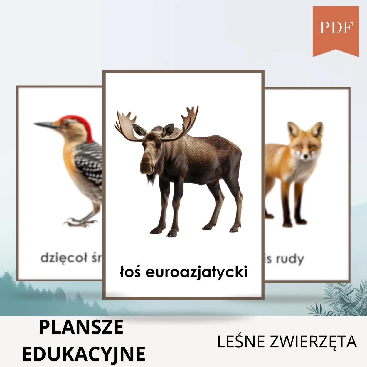 plansze edukacyjne leśne zwierzęta