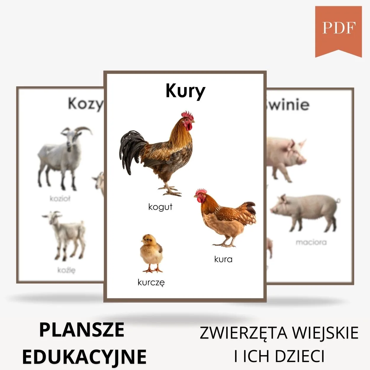 plansze edukacyjne zwierzęta wiejskie i ich dzieci