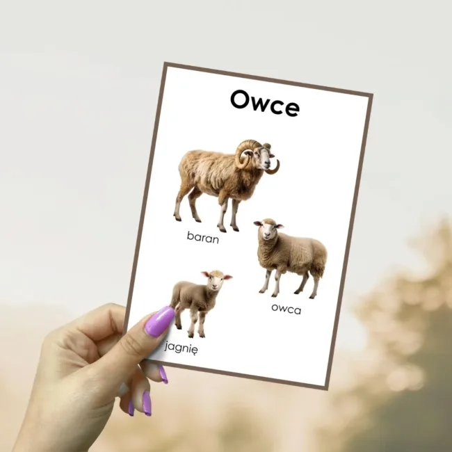 plansze edukacyjne zwierzęta wiejskie i ich dzieci pdf