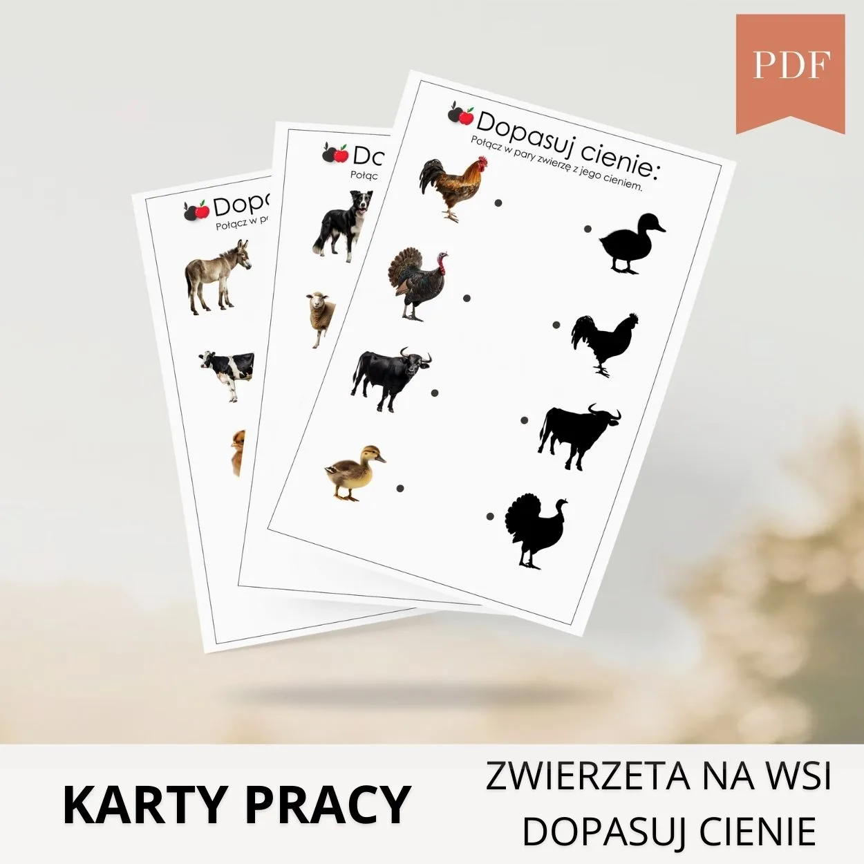 Dopasuj cienie Zwierzęta na wsi pdf