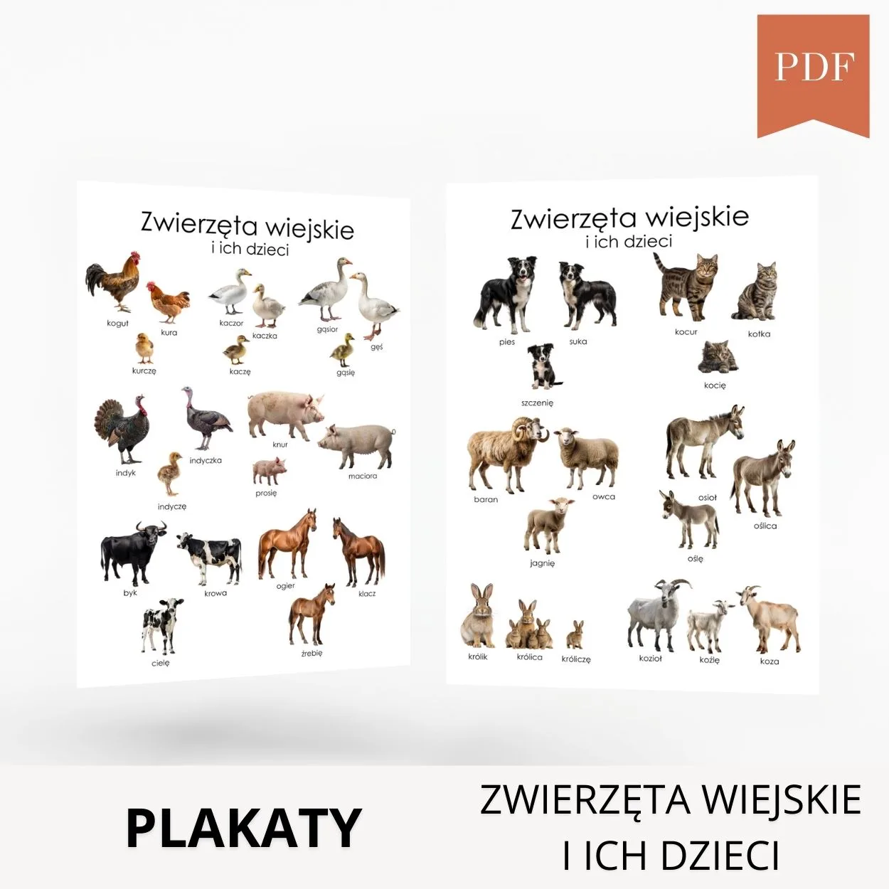 zwierzęta wiejskie i ich dzieci plakaty wydruk