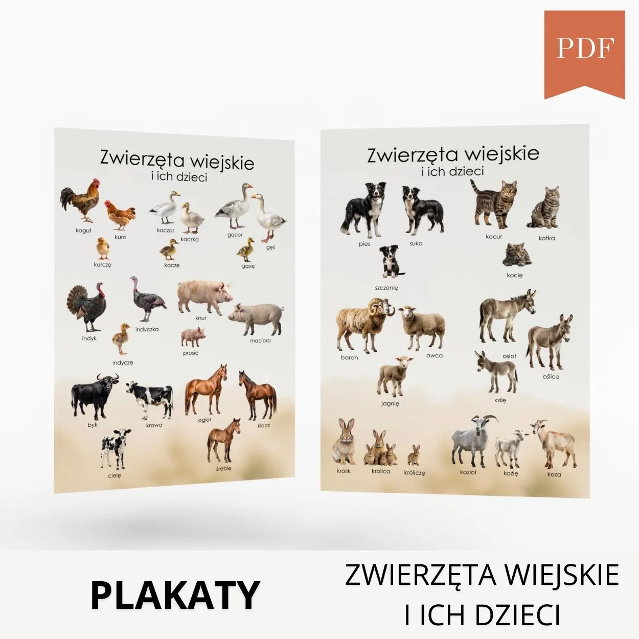 zwierzęta wiejskie i ich dzieci plakaty pdf