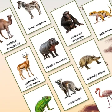 plansze edukacyjne zwierzęta Afryki PDF