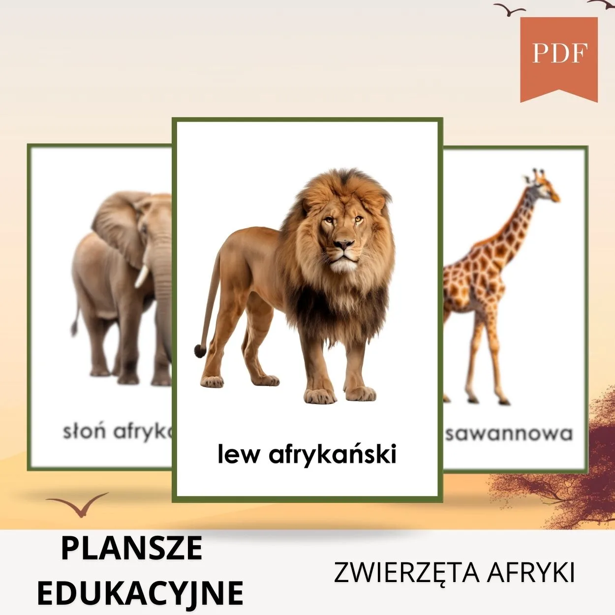 plansze edukacyjne zwierzęta Afryki do wydruku