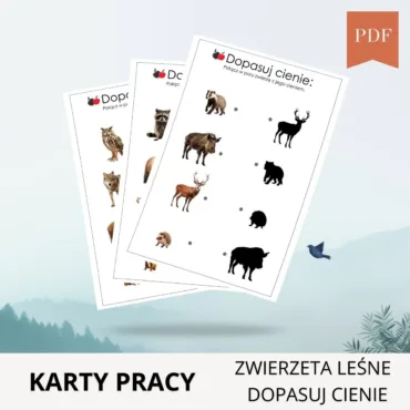 Dopasuj-cienie-Zwierzeta-lesne