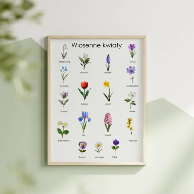Edukacyjny plakat z wiosennymi kwiatami do wydruku PDF