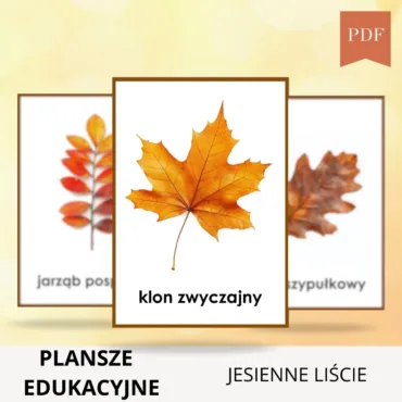 Jesienne-liscie-do-druku