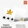 Pomoce klamerkowe Jesienne liście dopasuj cienie karty klamerkowe jesień PDF