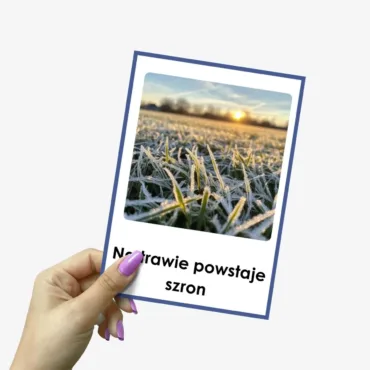 Plansze dydaktyczne z pierwszymi oznakami zimy w formacie PDF do druku