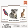 Plansze edukacyjne zwierzęta Australii do wydruku PDF