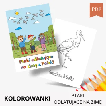 Ptaki odlatujące na zimę kolorowanka
