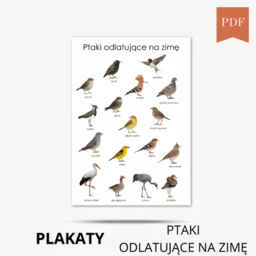 Ptaki odlatujące na zimę z polski plakat do druku