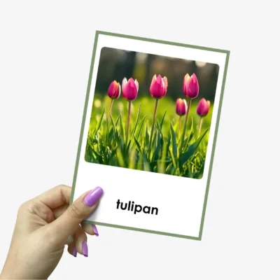  Wiosenne kwiaty do druku dla dzieci plansze edukacyjne