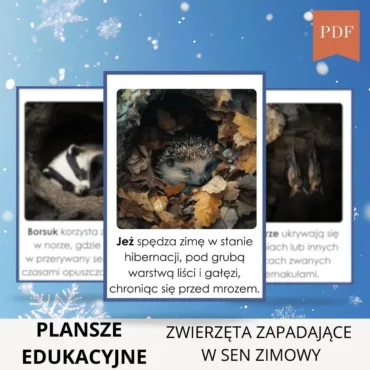 Zwierzęta zapadające w sen zimowy plansze edukacyjne do druku