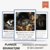 Zwierzęta zasypiające na zimę - plansze edukacyjne PDF