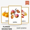 dary jesienie do druku plansze edukacyjne