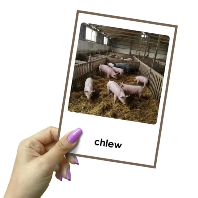 domy zwierząt gospodarskich, chlew