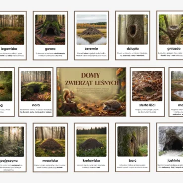 domy zwierząt leśnych do druku