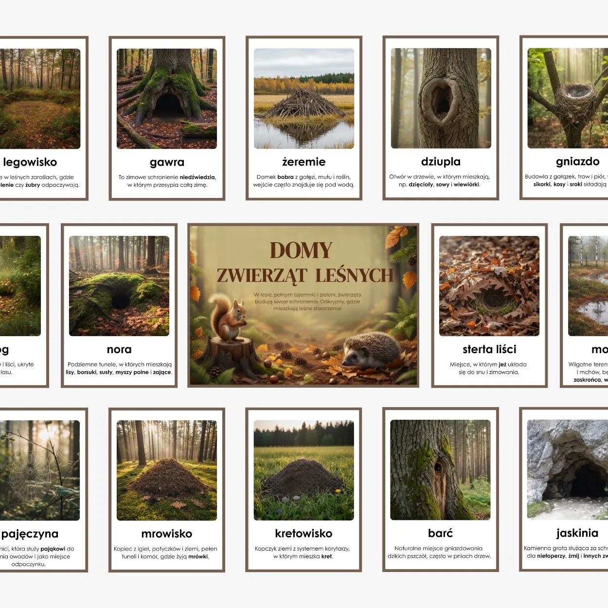 domy zwierząt leśnych do druku