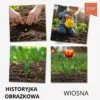 historyjki obrazkowe wiosna