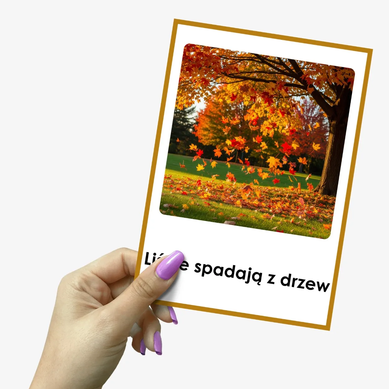 jakie są oznaki jesieni