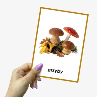 jesienne skarby grzyby