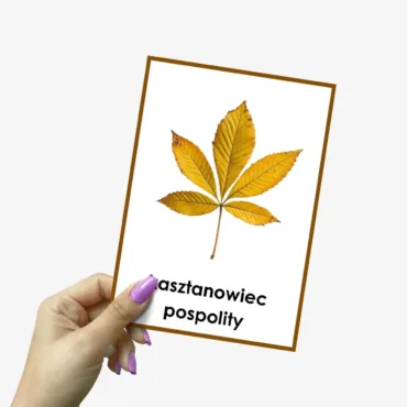 jesienny-lisc-kasztanowca-PDF