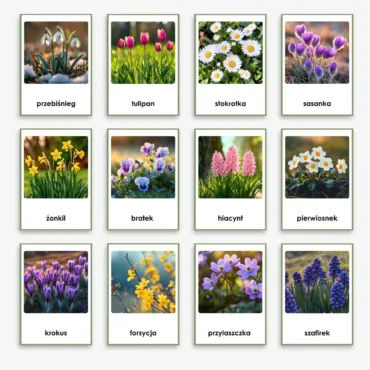 kwiaty wiosenne obrazki do druku