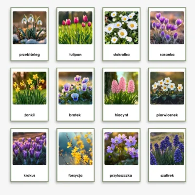 kwiaty wiosenne obrazki do druku