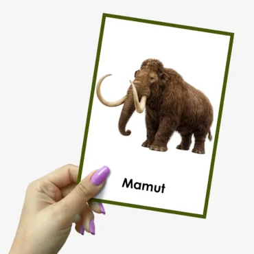 mamut zwierzę prehistoryczne plansza edukacyjna