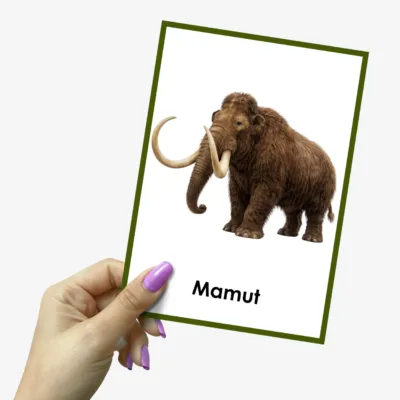 mamut zwierzę prehistoryczne plansza edukacyjna
