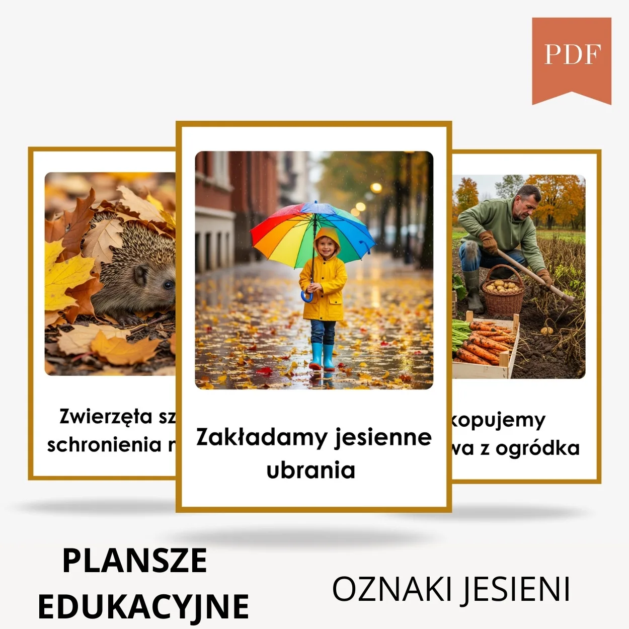 oznaki jesieni przedszkole i szkoła