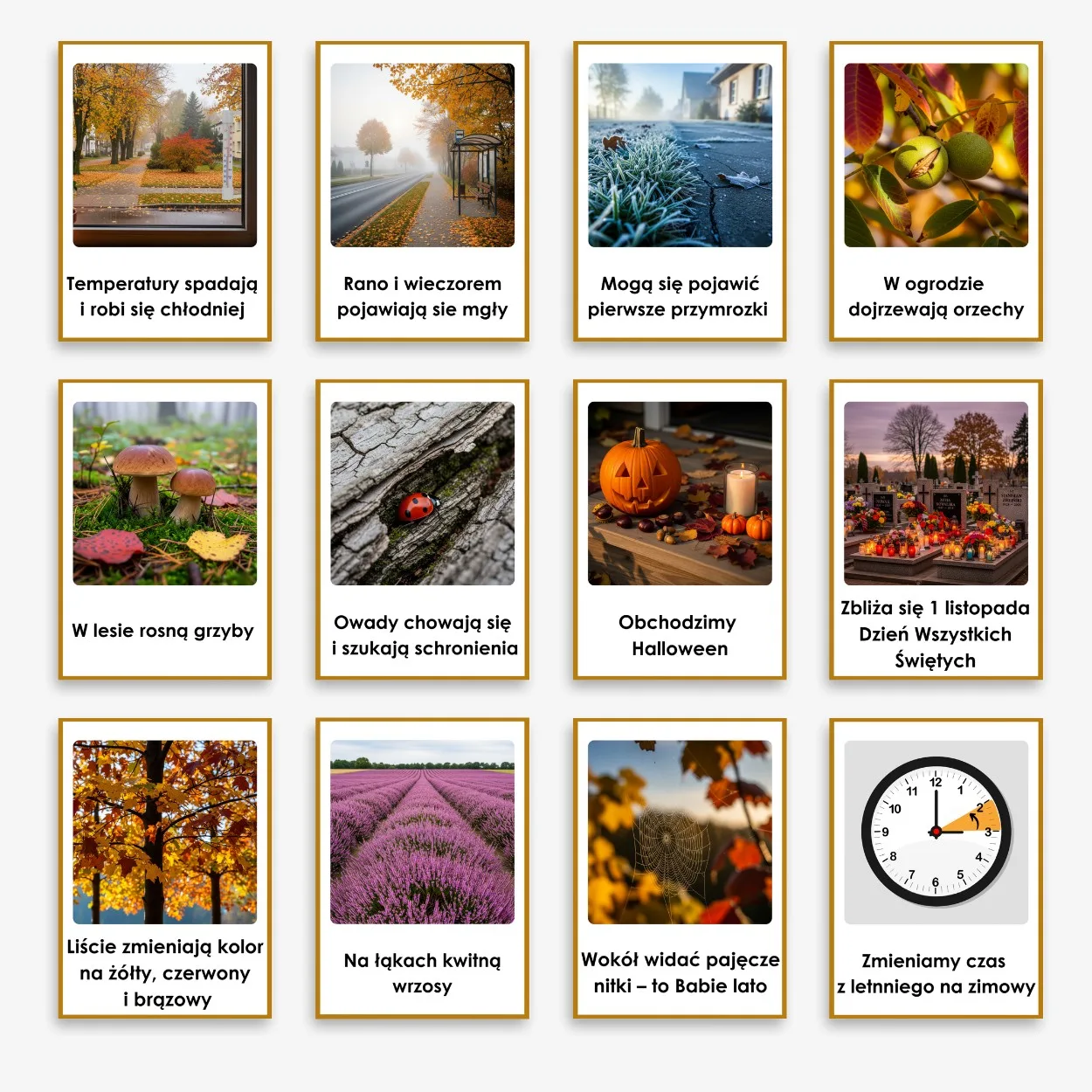 oznaki jesieni w przyrodzie