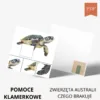 pomoce klamerkowe czego brakuje na obrazku ze zwierzętami Australii do druku, na obrazku Złów zielony