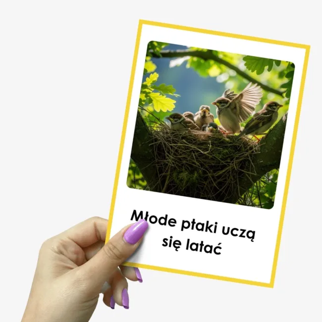 przejawy lata młode ptaki uczą się latać