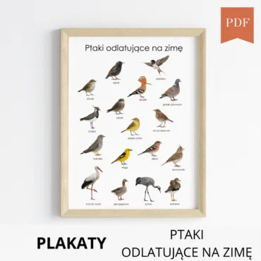 ptaki ktore odlatują na zimę plakat do wydruku