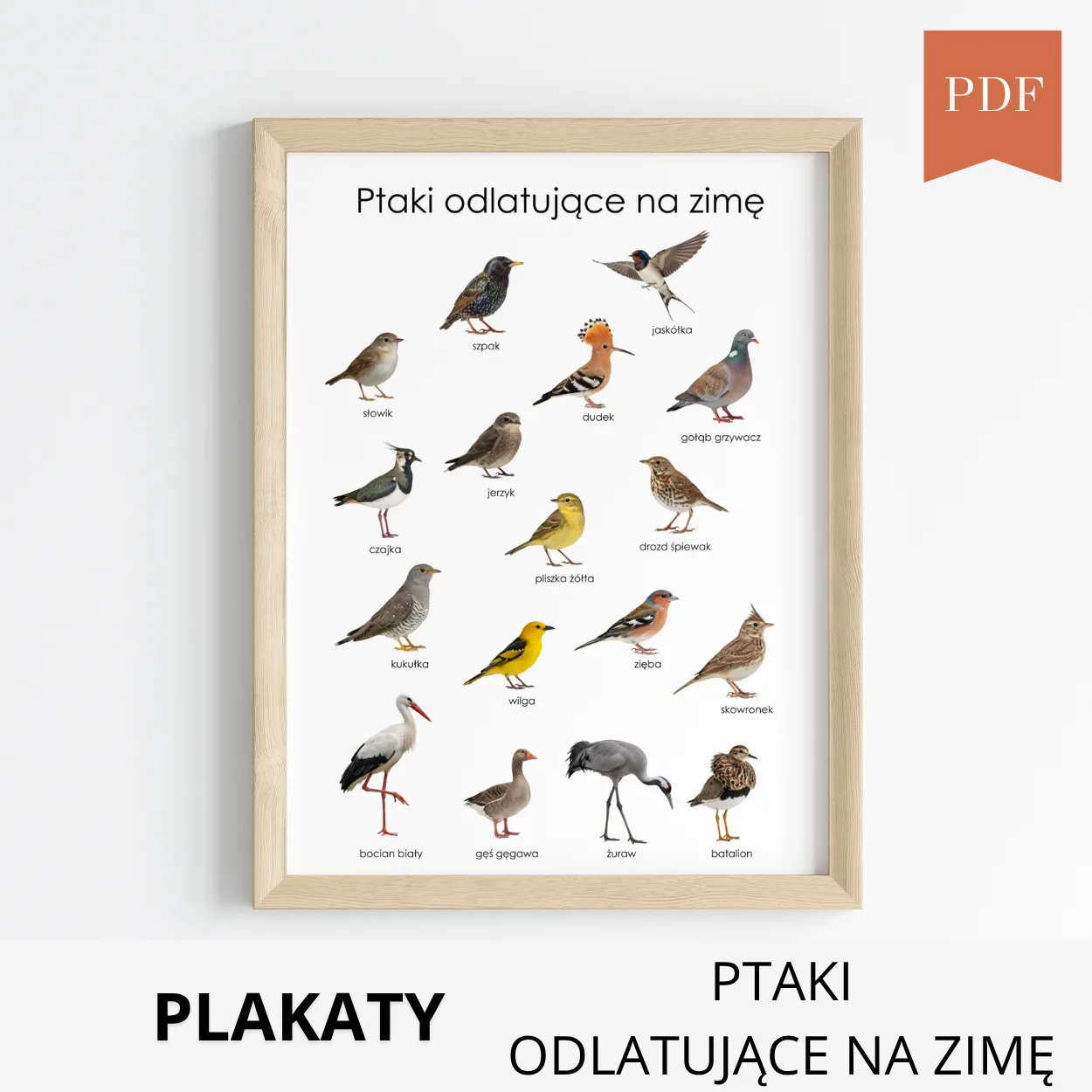 ptaki ktore odlatują na zimę plakat do wydruku