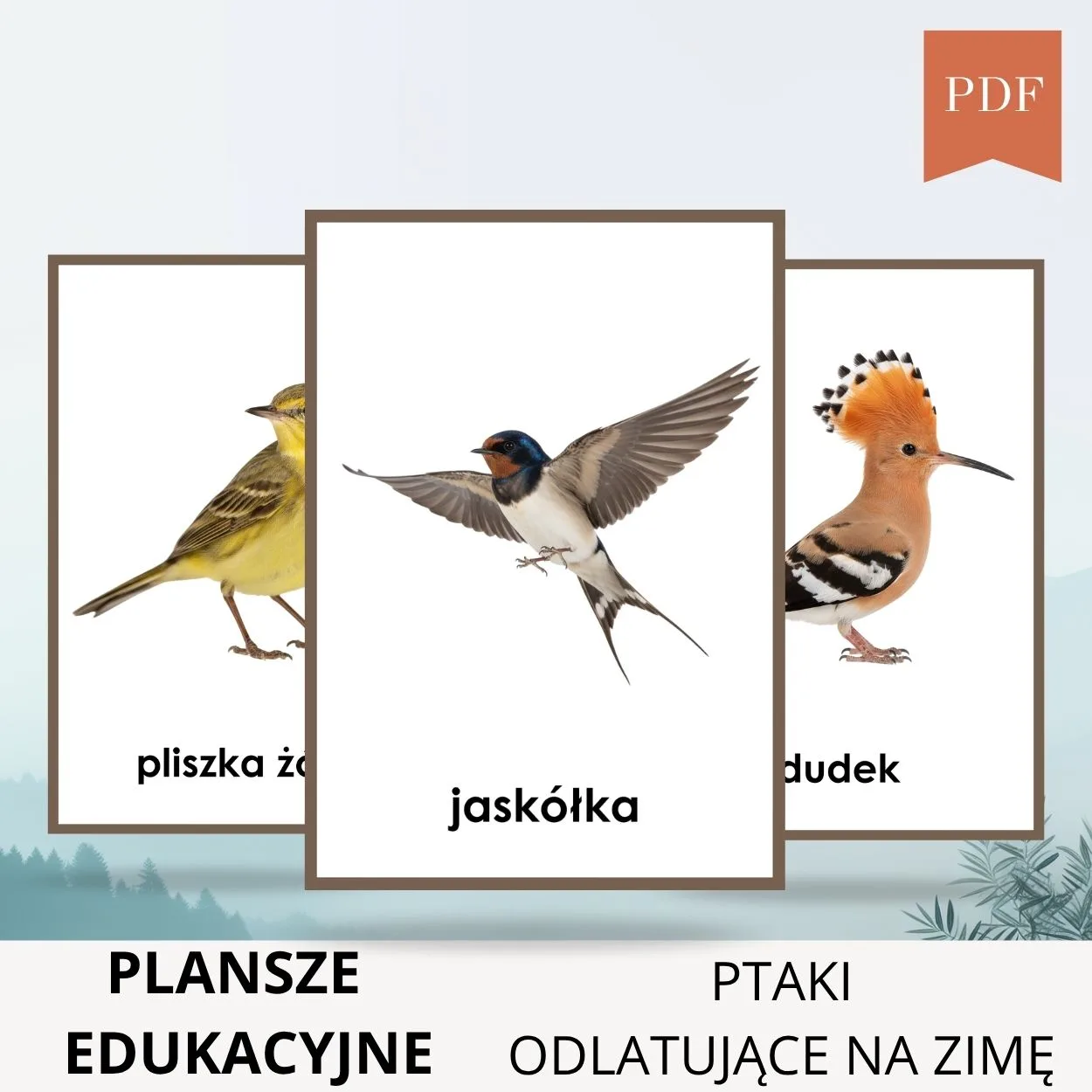 ptaki które odlatują na zimę z polski do ciepłych krajów