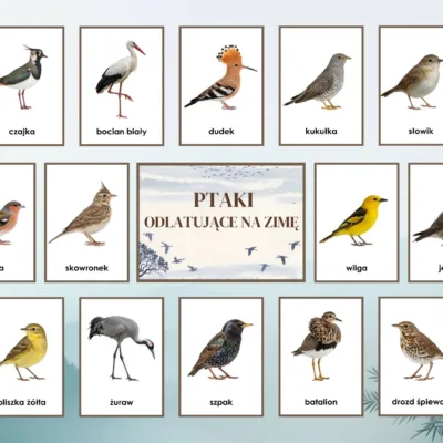ptaki odlatujące na zimę
