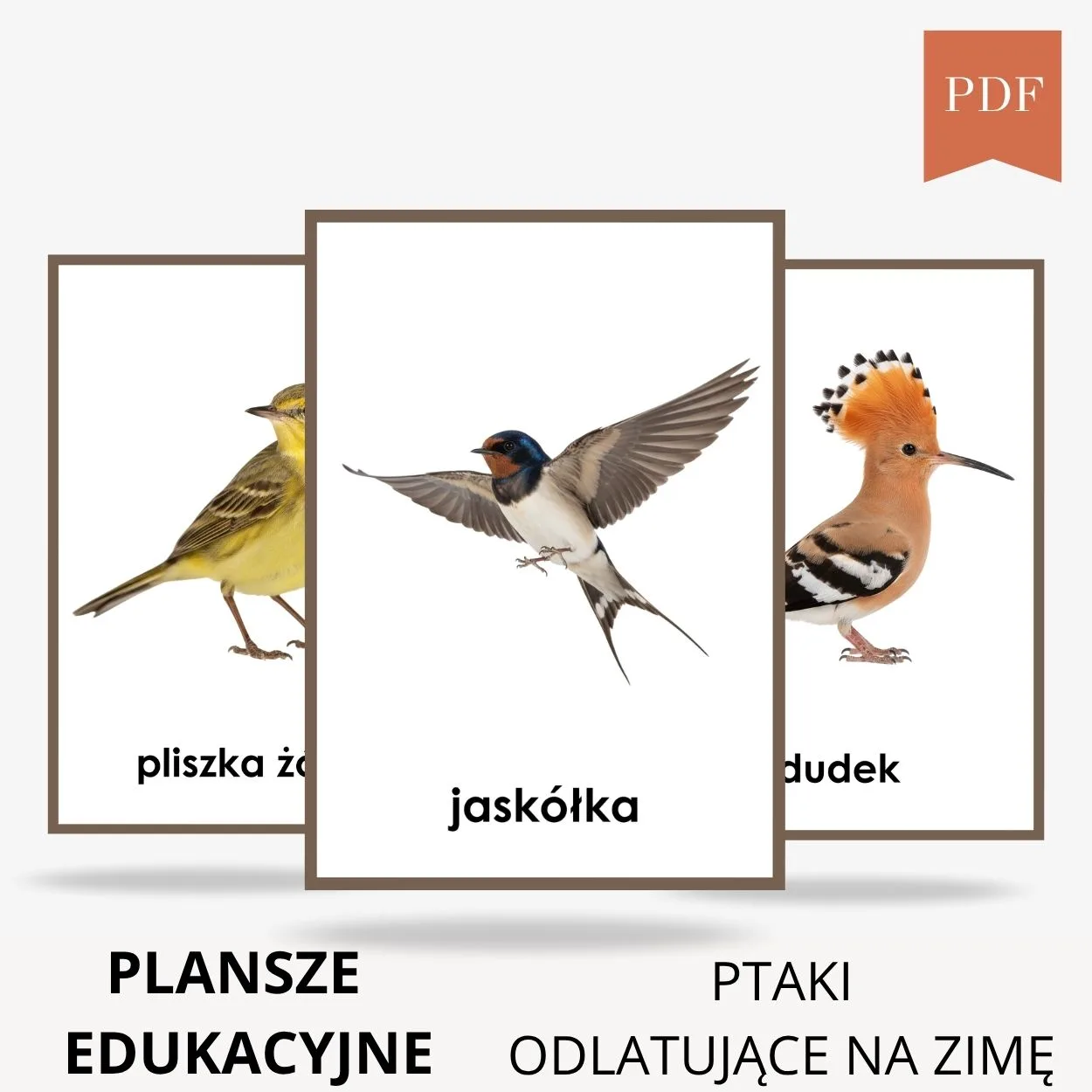 ptaki odlatujące na zimę do druku