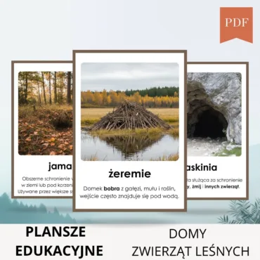 schronienia zwierząt leśnych