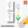 wiosenne kwiaty kolorowanki do druku