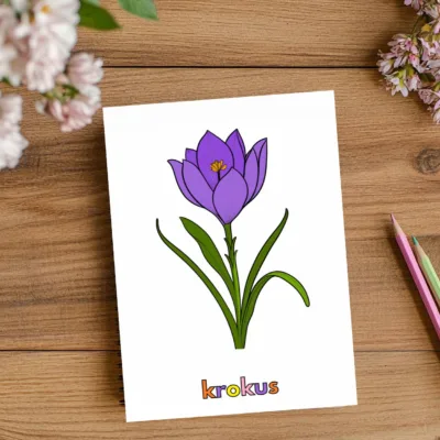 wiosenne kwiaty krokus kolorowanka