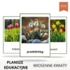 wiosenne kwiaty plansze dydaktyczne do druku pdf