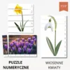 wiosenne kwiaty puzzle do druku numeryczne