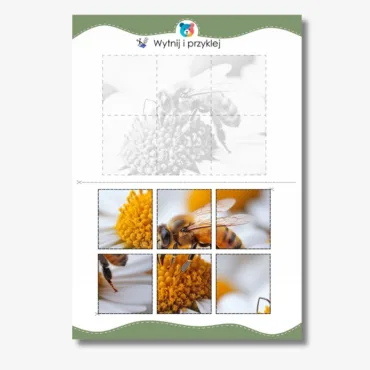 wiosenne wycinanki z papieru pszczoła do wycięcia
