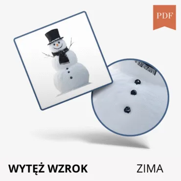 Wytęż wzrok Zima – gra edukacyjna PDF