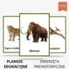 zwierzęta prehistoryczne plansze do przedszkola i szkoły